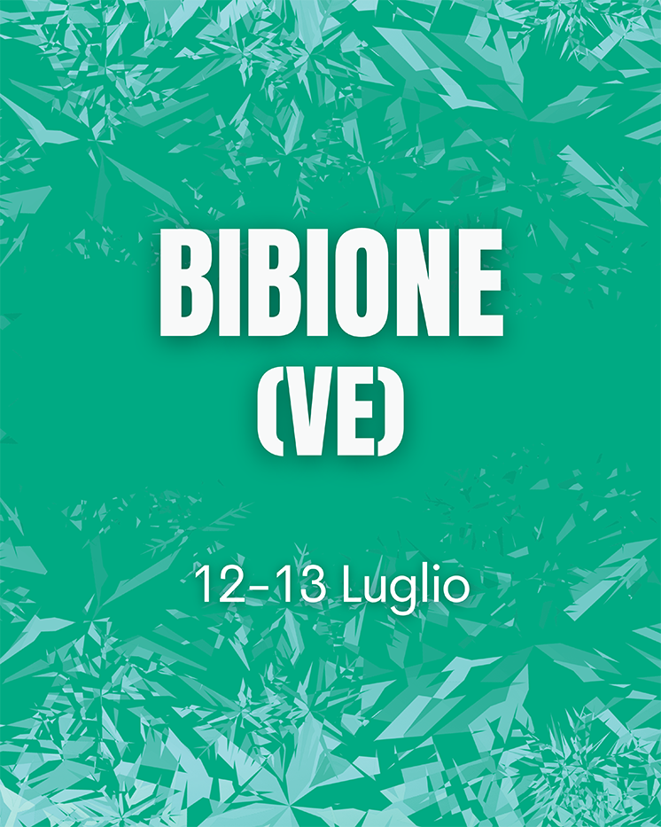 BIBIONE (VE)